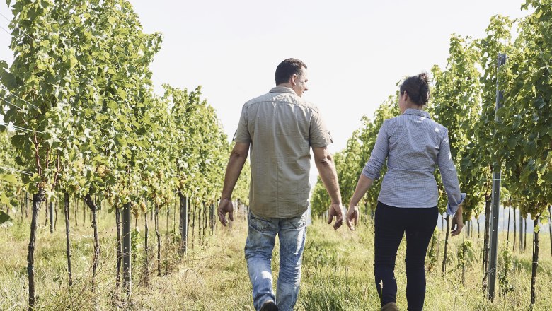 In the vineyard, © Zuschmann-Schöfmann Two people walk through a vineyard.