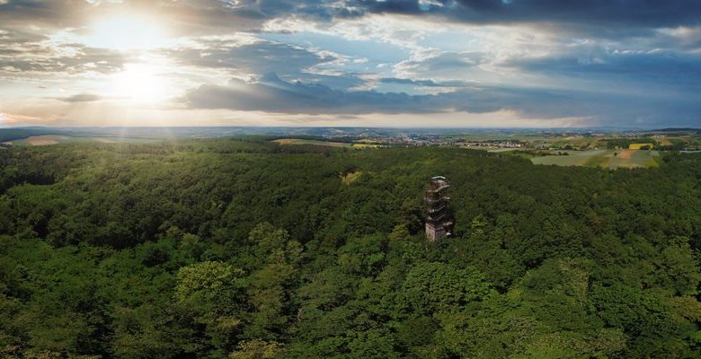 Kolisko card, © Martin Kührer Panoramic view of the Koliskowarte in the middle of a dense forest at sunset.