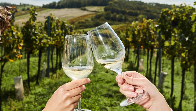 Toasting in the vineyard, © Weinviertel Tourismus / Michael Liebert Two people clink glasses in a vineyard.