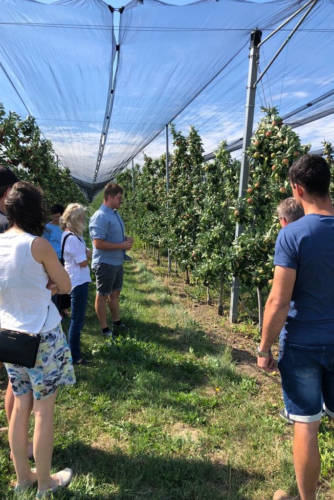 Obstbau Bucher, © Obstbau Bucher Obstbau Bucher, © Obstbau Bucher