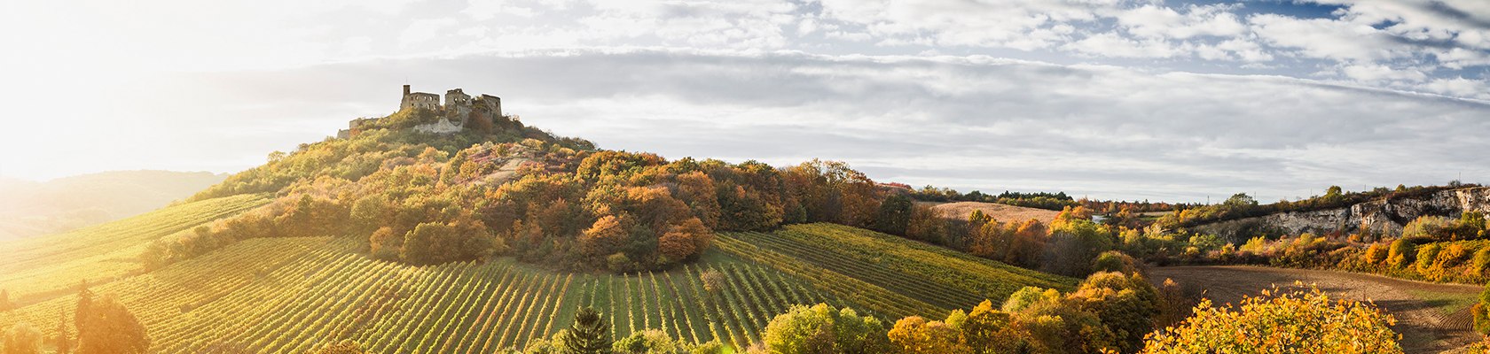 Der Herbst zieht ins Land ...., © Niederösterreich Werbung / Michael Liebert