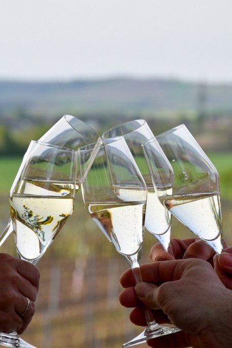 Weingut Reisinger, © Weingut Reisinger Weingut Reisinger, © Weingut Reisinger