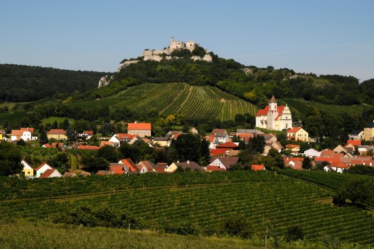 Exzellente Weine und eine imposante Burgruine warten im romantischen Weinort Falkenstein ..., © Weinviertel Tourismus / Mandl
