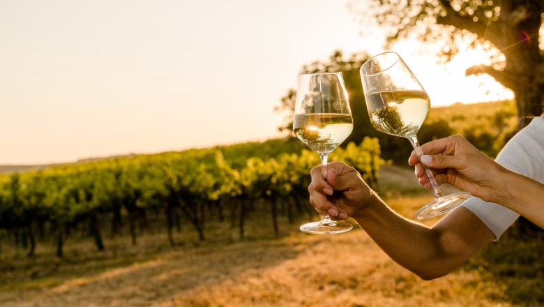 Sunset Tasting, © Weinviertel Tourismus / Schwarz-König Sunset Tasting, © Weinviertel Tourismus / Schwarz-König