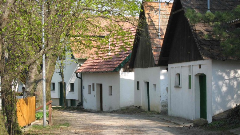 Kellergasse Velm-Götzendorf, © Johannes Zillinger Eine malerische Gasse mit traditionellen weißen Häusern und grünen Türen, umgeben von Bäumen mit frischem Frühlingslaub.