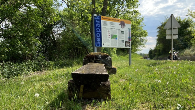 Mastodon site in Hohenwarth, © Weinstraße Weinviertel Sign for the mastodon site in Hohenwarth on a meadow surrounded by trees and a path.