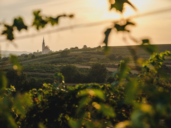 Die Weinstadt Poysdorf, © Weinstraße Veltlinerland/Michael Reidinger Die Weinstadt Poysdorf, © Weinstraße Veltlinerland/Michael Reidinger