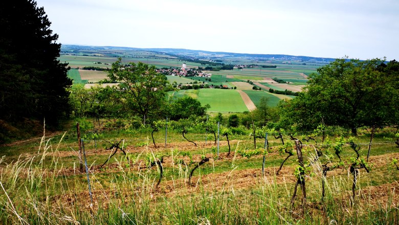 Hollenstein lookout point, © Weinstraße Weinviertel Vineyards and fields in the Weinviertel, Austria.