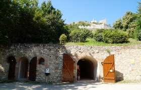 Schlosskeller, © Marktgemeinde Staatz Eingang zu einem Schlosskeller mit Holztüren, darüber eine Burgruine auf einem Hügel.