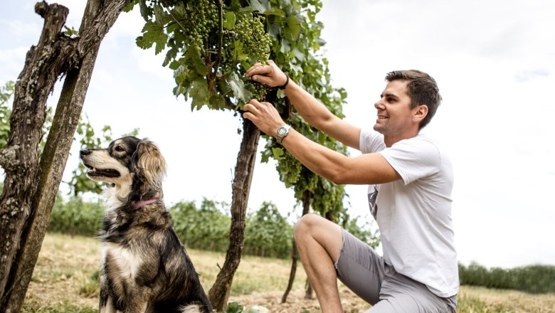 Winzer Roman Degn, © Astrid Bartl Ein Mann kniet in einem Weinberg und pflegt die Reben, während ein Hund neben ihm sitzt.
