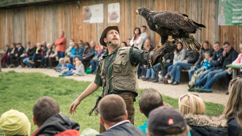 Flugvorführung, © Peter Hruska Flugvorführung, © Peter Hruska