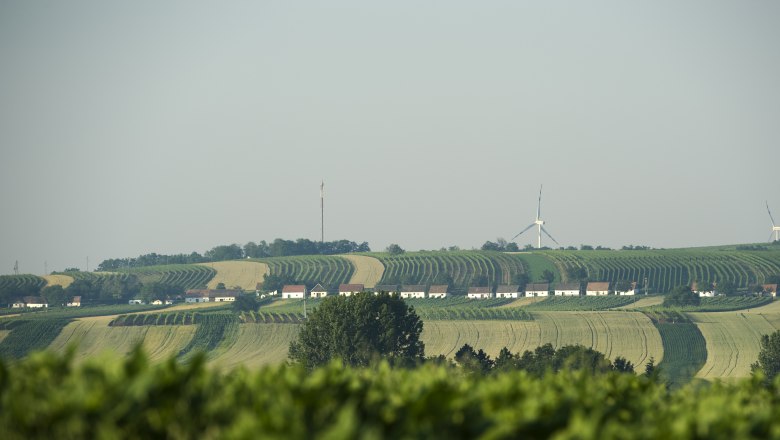 Kellergasse "Alte Geringen", © Michael Himml Landschaft mit Weinbergen, Kellergasse und Windrädern im Hintergrund.