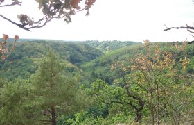 Wandern rund um Pulkau, © Fotoclub Pulkau Wandern rund um Pulkau, © Fotoclub Pulkau