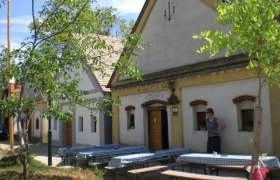 Heuriger und Weingut Gass, © Gass Traditionelle Weinkeller mit Holztüren und Bänken im Freien.