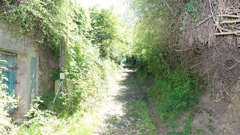 Kellerviertel Loamgrui, © Weinviertel Tourismus Kellerviertel Loamgrui, © Weinviertel Tourismus