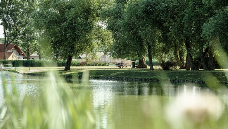 Badeteich, © Michael Reidinger Ein ruhiger Teich mit Bäumen und einer Brücke im Hintergrund.