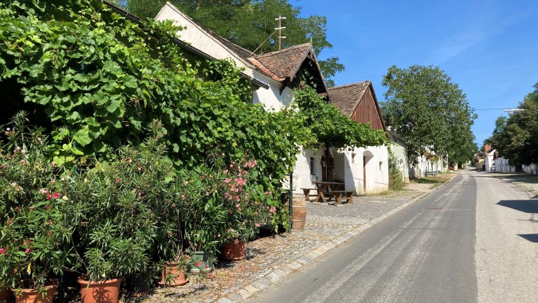 Große Kellertrift, © Marktgemeinde Haugsdorf Eine ruhige Straße mit traditionellen Häusern, umgeben von üppigem Grün und blühenden Pflanzen.