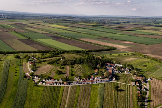 Weinviertel:, © Weinviertel Tourismus / www.pov.at Weinviertel:, © Weinviertel Tourismus / www.pov.at