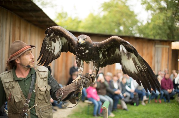 Aigner's Falkenhof, © Peter Hruska Aigner's Falkenhof, © Peter Hruska