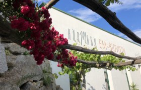 Bioweingut Hörmann, © Bioweingut Hörmann Rosen und Weinreben vor dem Gebäude des Bioweinguts Hörmann.