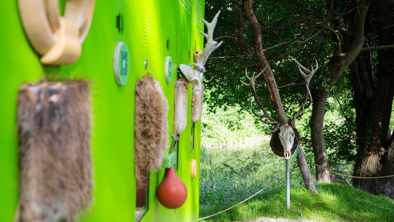 Schloss Orth an der Donau, © Barbara Elser Mitmachstation auf der Schlossinsel