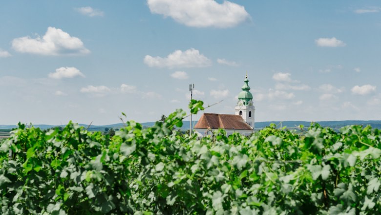 View of Unterretzbach, © Leonardo Ramirez Church tower behind green vines under a blue sky with clouds.