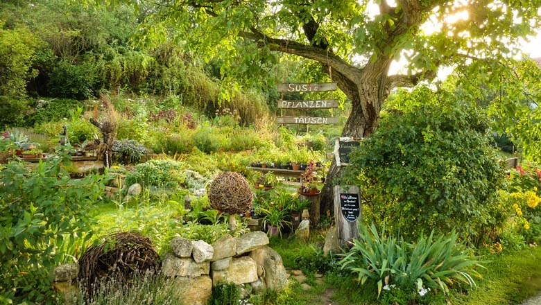 Susi’s Pflanzentausch, © Susanne Mitas Susi’s Pflanzentausch, © Susanne Mitas