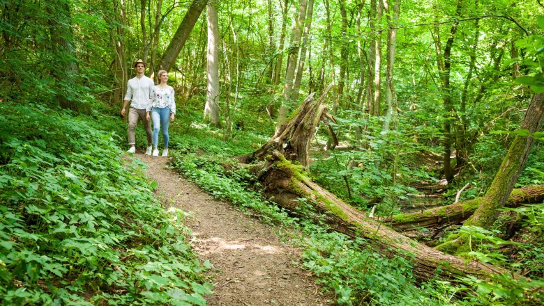 Pulkau, © Retzer Land / Die Reisereporter Pulkau, © Retzer Land / Die Reisereporter