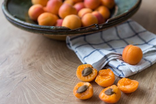 Köstliche Marillen,, © Weinviertel Tourismus / Astrid Bartl