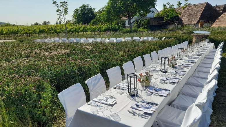 Langer, festlich gedeckter Tisch im Freien neben einem Weinberg.