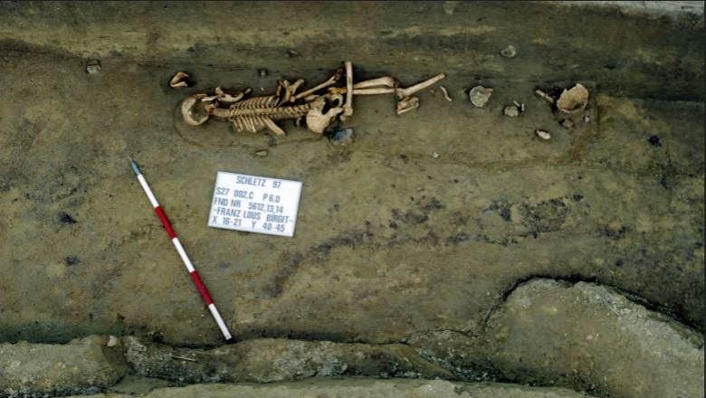 Archäologische Ausgrabung mit Skelett und Maßstab.