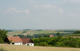 Landschaft mit Feldern, Bäumen und zwei kleinen Häusern mit roten Dächern.