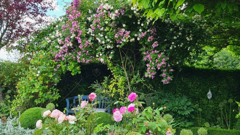 A lush garden with a rose arbor and a blue bench underneath.
