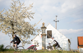 Radfahren im Retzer Land, © Weinviertel Tourismus / Bartl