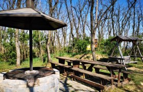 Grillplatz mit Holztischen und Schaukeln im Wald.