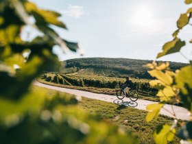 Auf zwei Rädern durch idyllische Weingärten, © Niederösterreich Werbung / Romeo Felsenreich