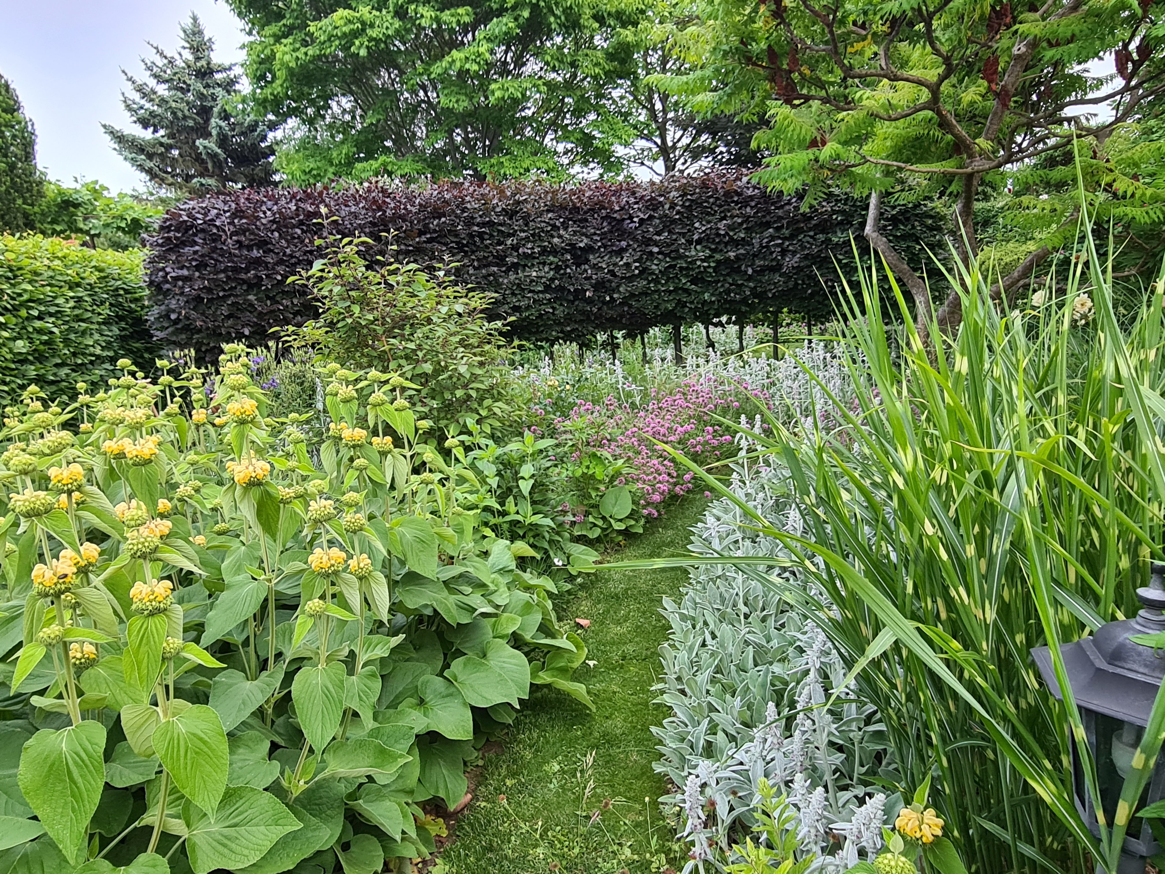 Schaugarten Am Pulverturm, Präriegarten