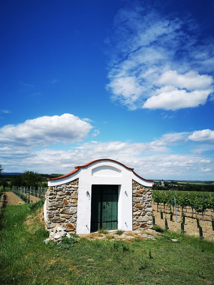 Kleines Steinhaus in einem Weinberg unter blauem Himmel mit Wolken.
