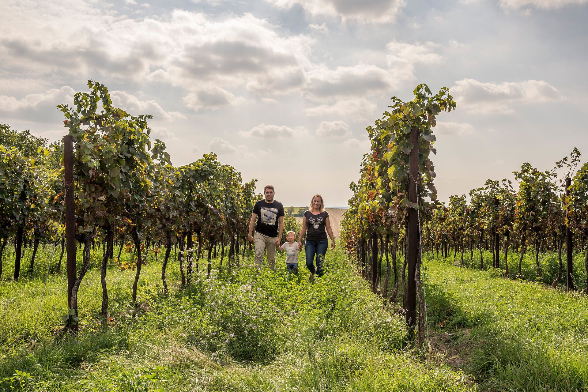 Eine Familie genießt einen sonnigen Tag zwischen den sanften Weinreben, die in der warmen Herbstsonne leuchten. Die Kinder lachen und spielen, während die Eltern die frische Luft und die malerische Landschaft der Weinregion genießen. Ein perfekter Moment, um die Schönheit der Natur und die Freude am Zusammensein zu erleben.