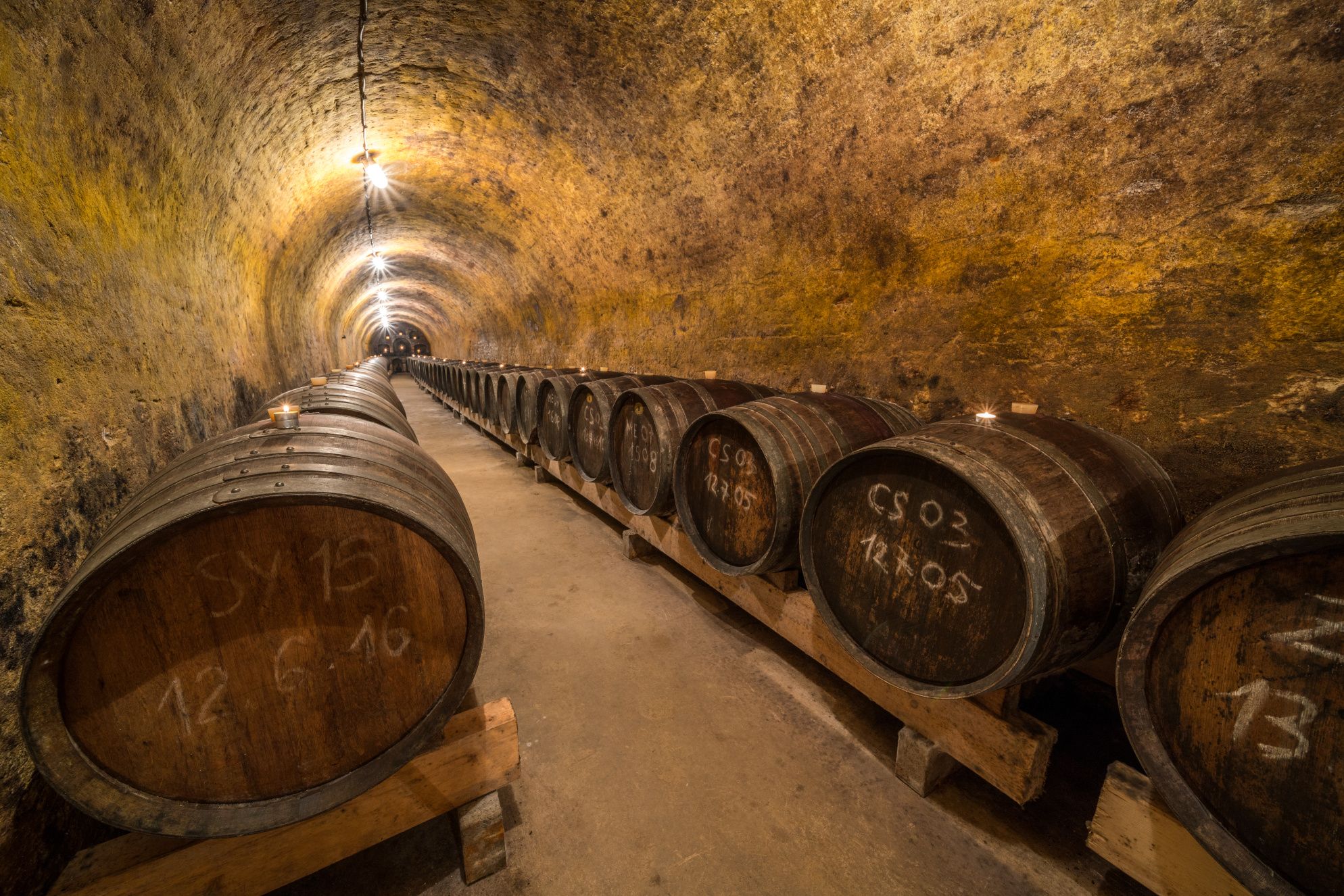 Weinkeller mit Holzfässern in einem langen, gewölbten Tunnel.
