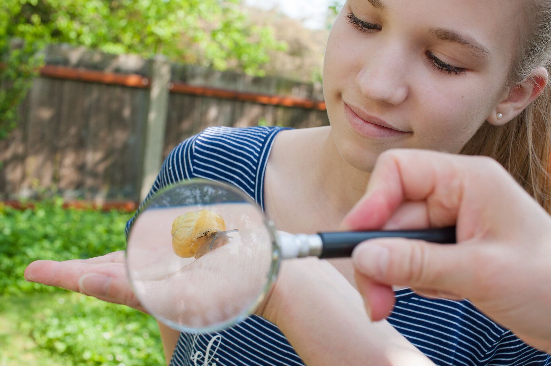 Ein neugieriges Kind betrachtet fasziniert eine Schnecke durch ein Mikroskop, während die sanfte Frühlingssonne die Umgebung erhellt. Die grüne Wiese um sie herum lädt zum Entdecken und Forschen ein, und die Freude am Lernen ist in der Luft spürbar.