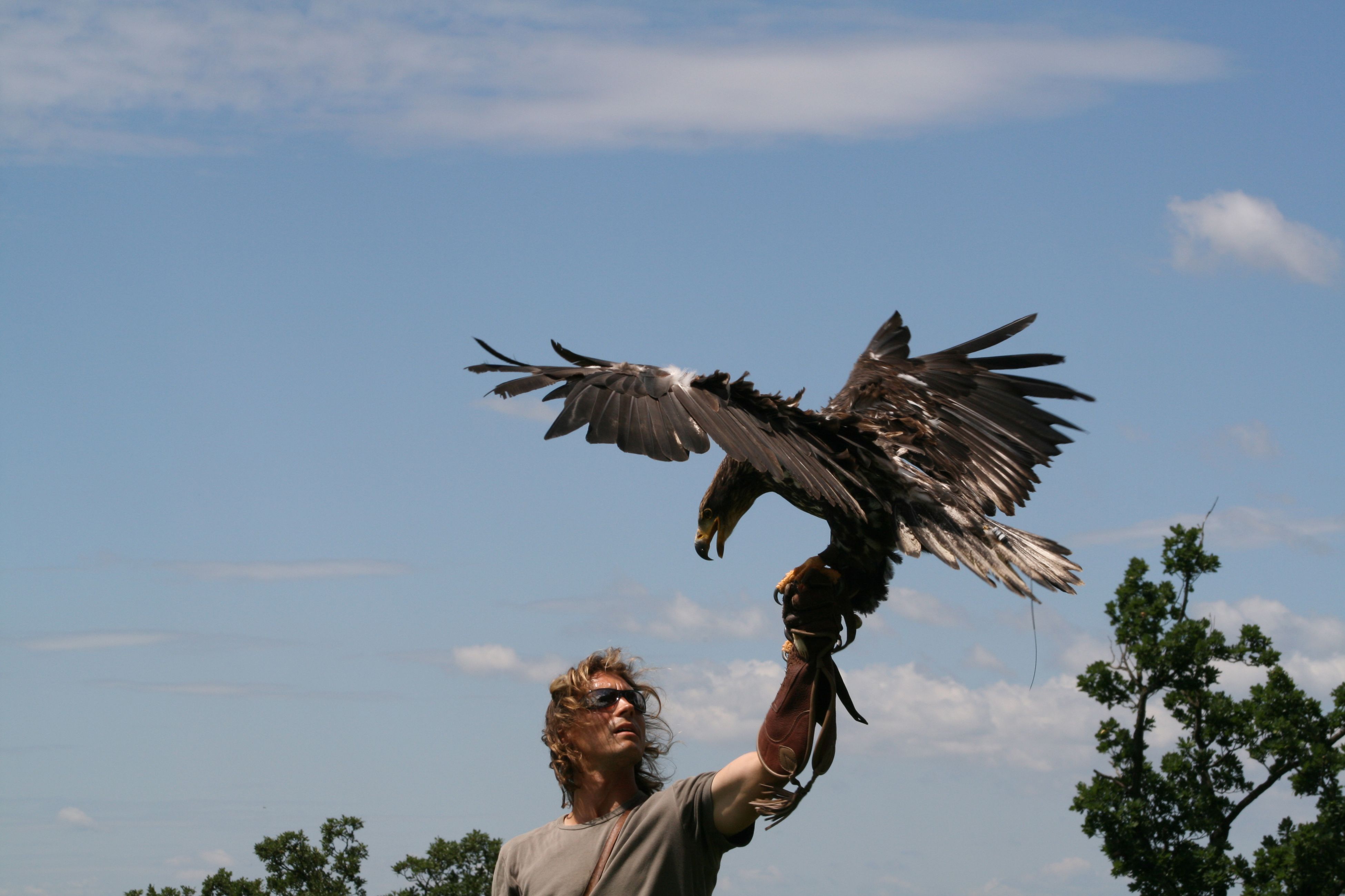 Ein Mann mit Handschuh hält einen Adler, der seine Flügel ausbreitet, vor einem blauen Himmel.