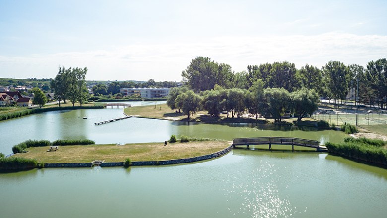 Aerial view of a campsite with pond, bridge and trees.