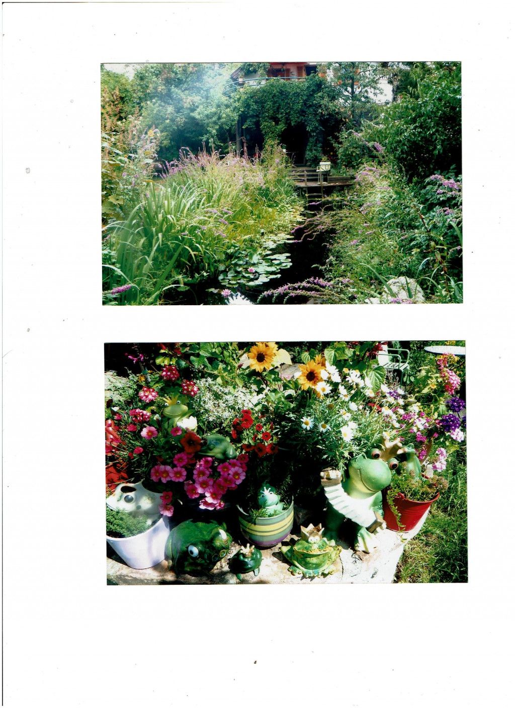 Sommer im Dornröschen-Garten