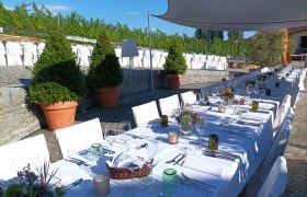 Langer, festlich gedeckter Tisch im Freien mit weißen Tischdecken und Stühlen, umgeben von Pflanzen und Weinreben.