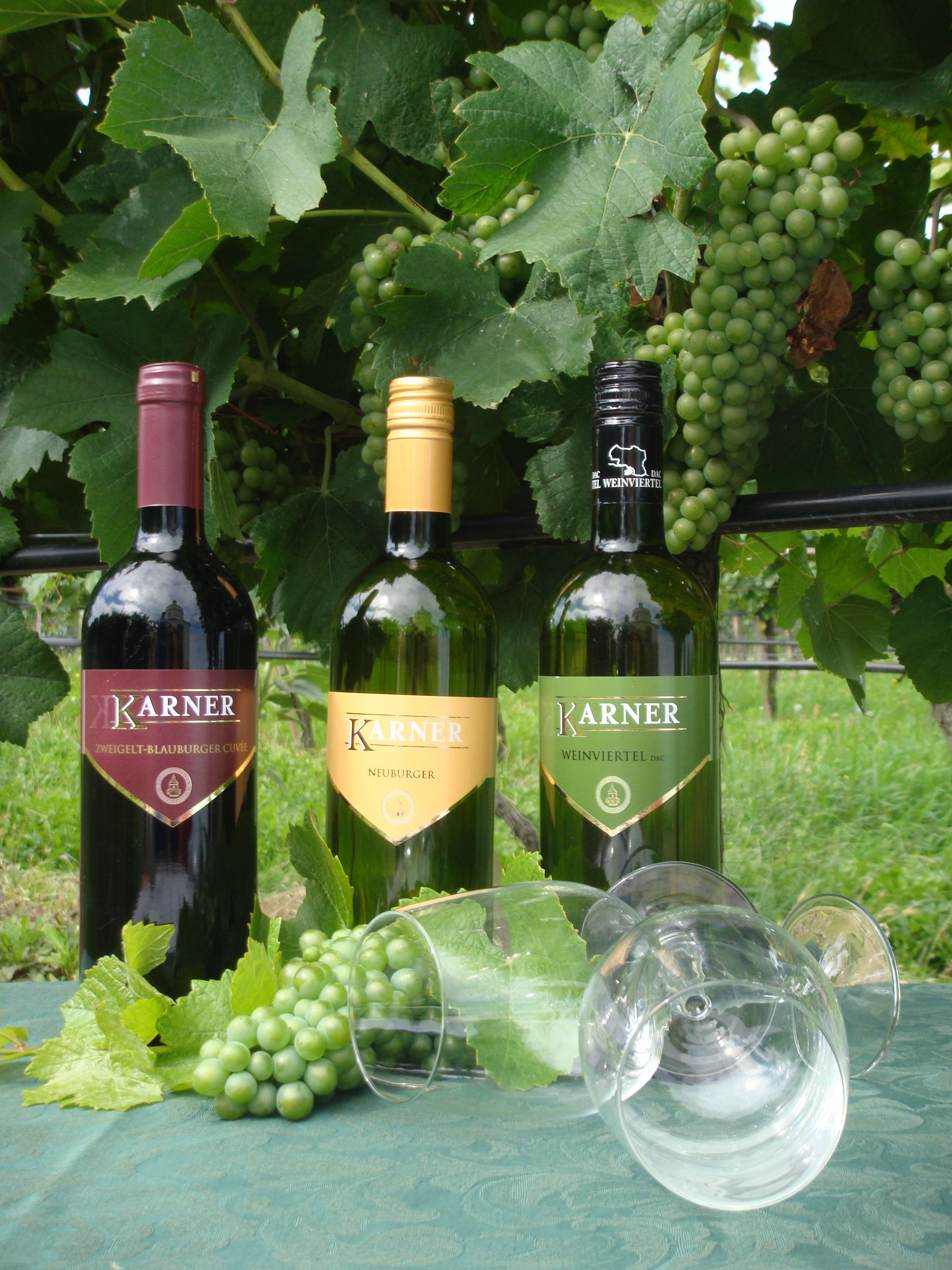 Tři láhve vína Karner s hrozny a sklenicemi na stole před vinicemi.