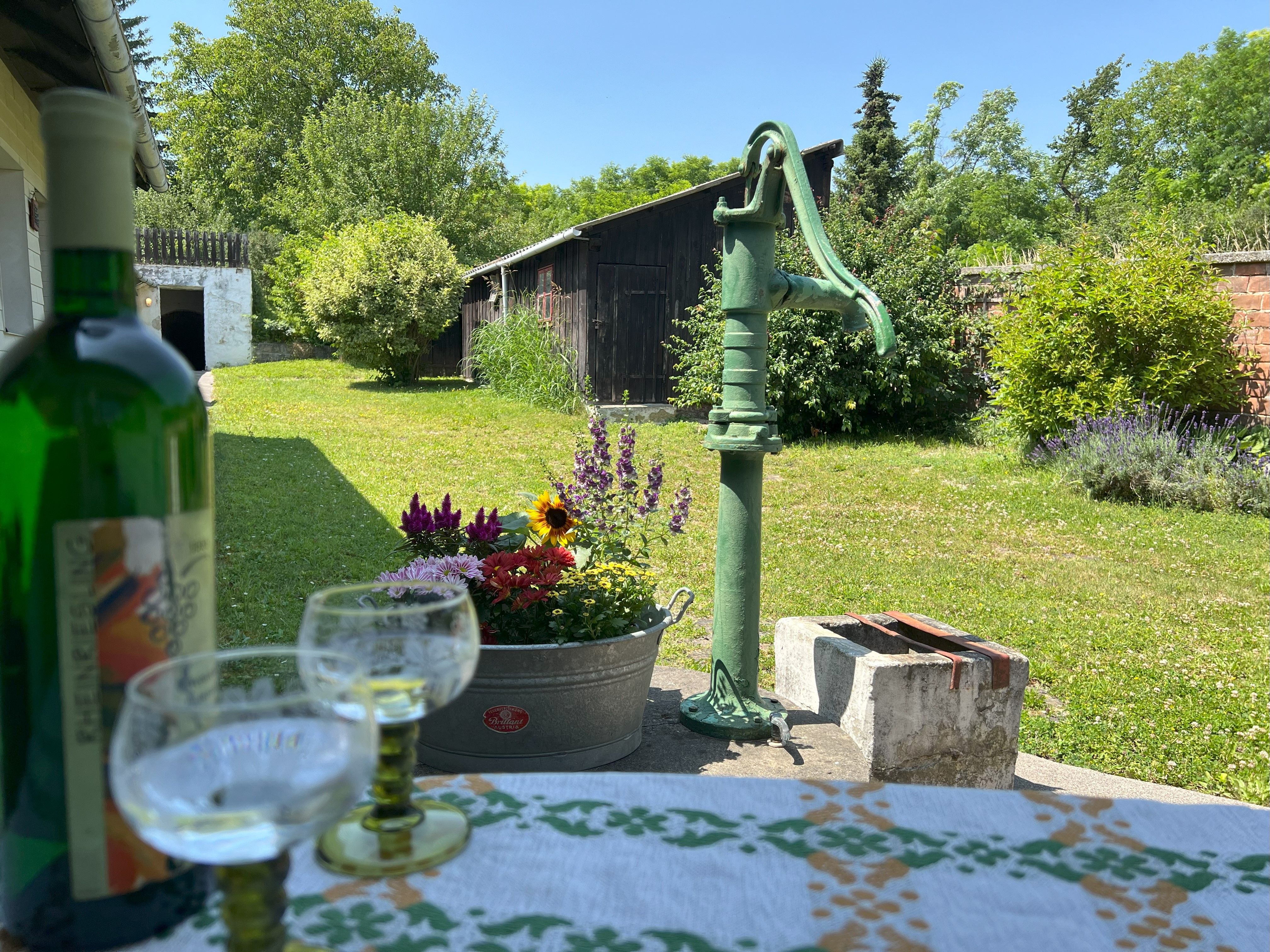 Zelený dvůr se starou vodní pumpou, květinami a stolem s lahví vína a sklenicemi.