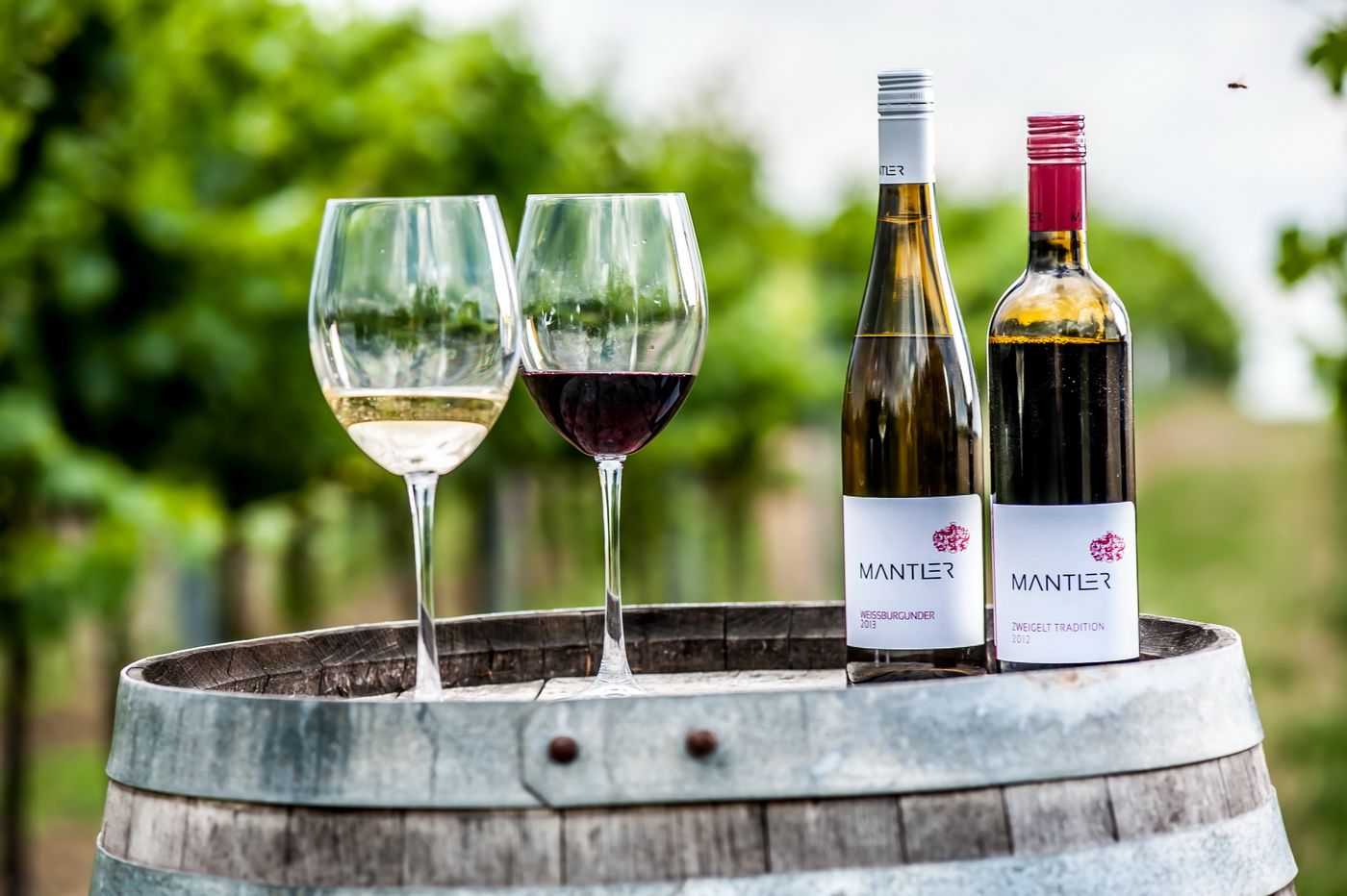 Two wine glasses and two wine bottles on a barrel in the vineyard.