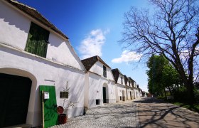 Kellergasse in Mailberg mit weißen Gebäuden und blauem Himmel.