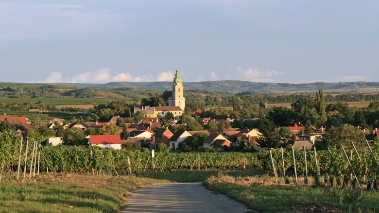 Blick auf das Dorf Unterretzbach mit Kirche und Weinbergen im Vordergrund.